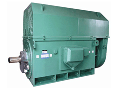 西陵Y系列6KV高压电机